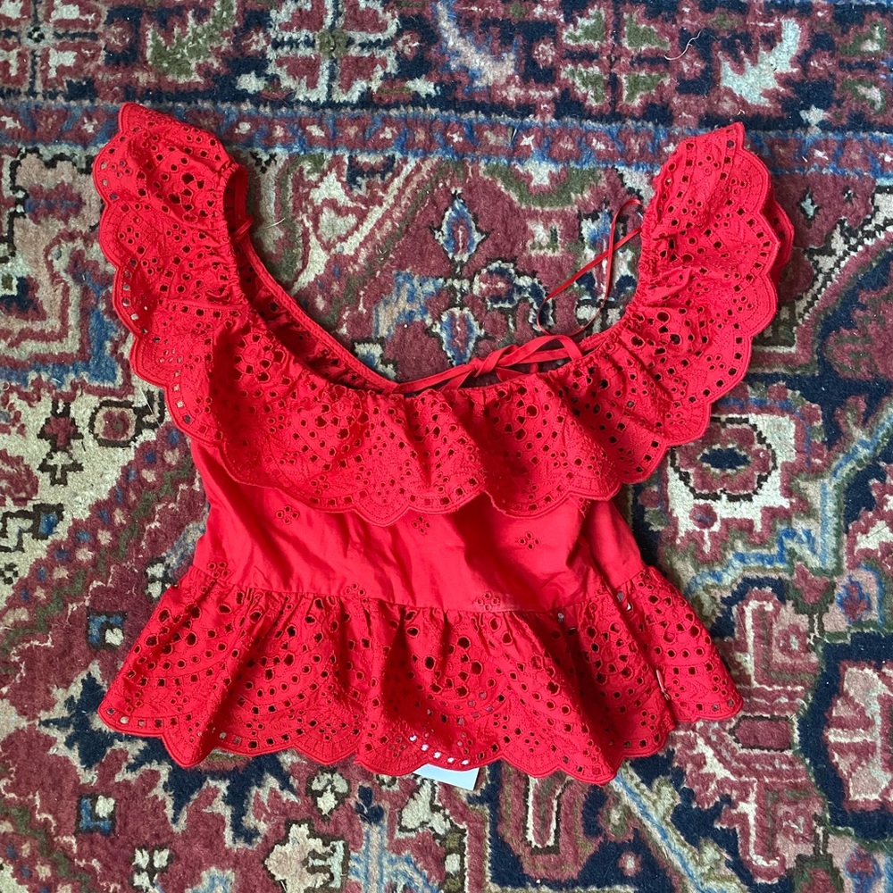 Zara Eyelet Crop Top Blouse
